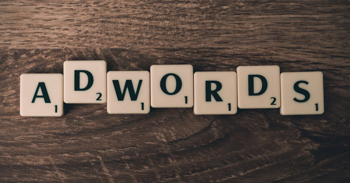 Can a beginner learn SEO?