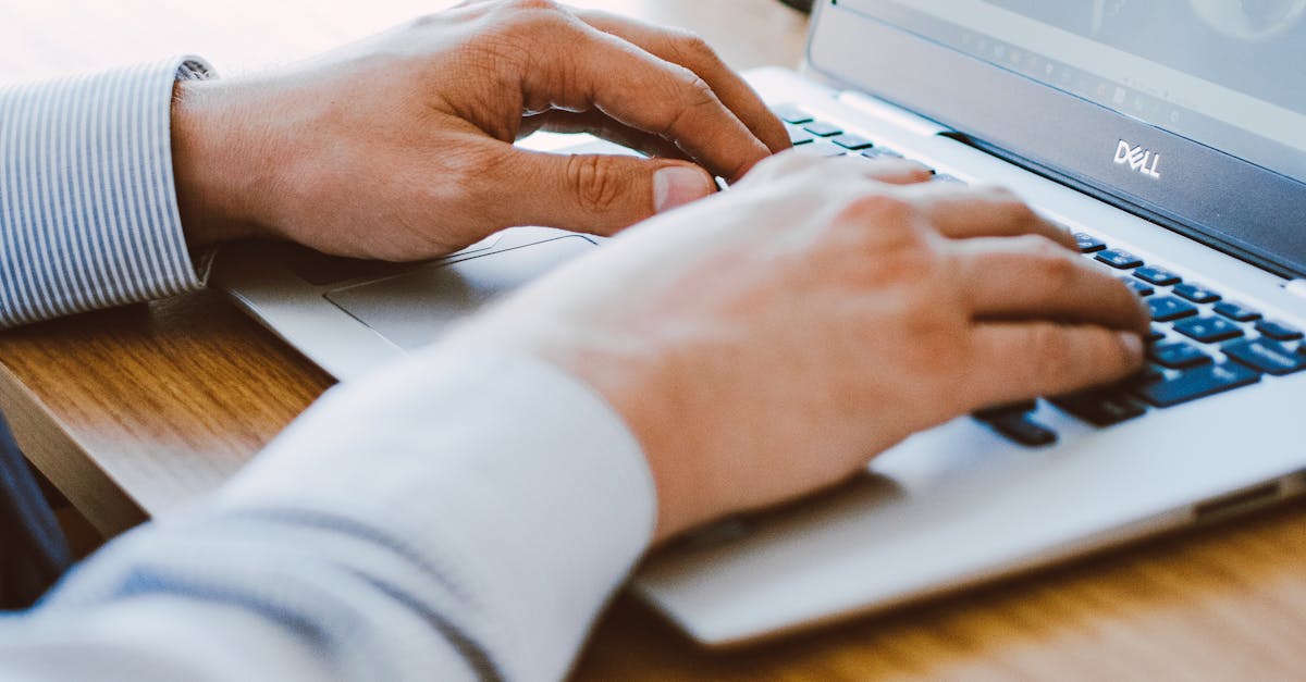 How do I track local SEO?
