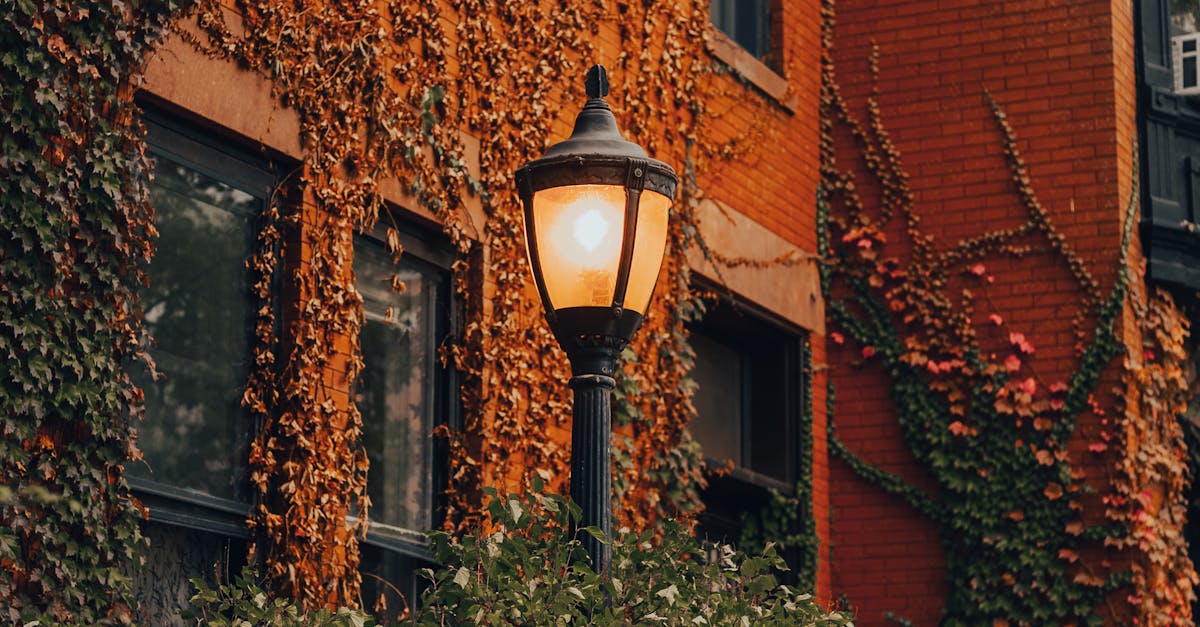 The Importance of Local Listings in SEO Success  