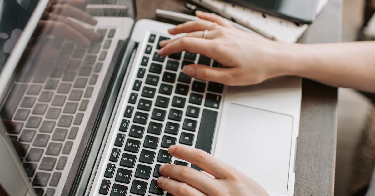What are the 4 types of SEO?