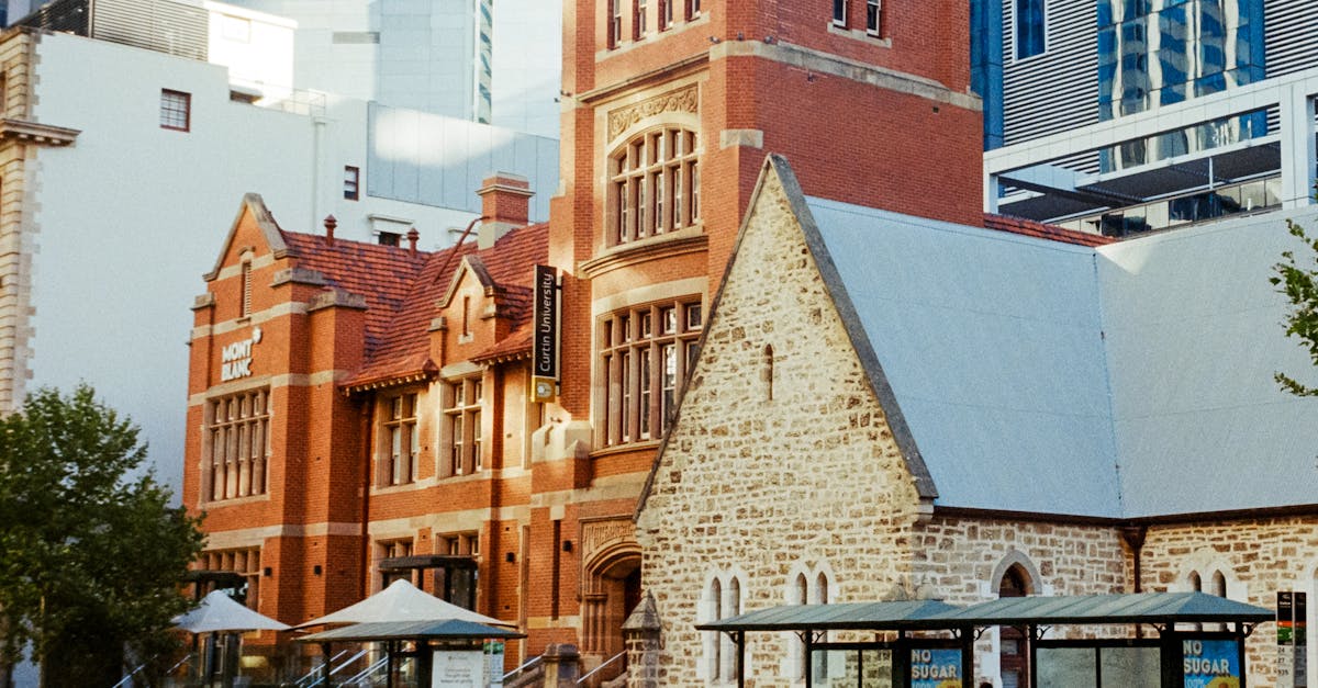 What is search engine optimization SEO?